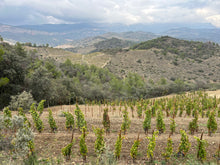 Charger l'image dans la galerie, Soirée catalane au Montego - 5 février 2026