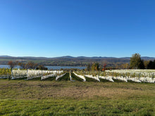 Charger l'image dans la galerie, Sortie VIP dans les vignes - Québec - 29 août 2026