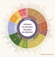 Charger l'image dans la galerie, La roue des arômes du gin québécois