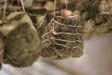 Charger l'image dans la galerie, Soirée corse à Québec - 21 mai 2026
