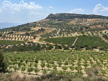 Charger l&#39;image dans la galerie, Soirée KDP - vins de Crète - 22 septembre 2025
