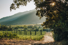 Charger l'image dans la galerie, Soirée corse à Québec - 21 mai 2026
