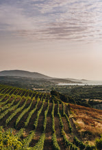 Charger l'image dans la galerie, Soirée corse à Québec - 21 mai 2026

