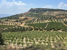 Charger l&#39;image dans la galerie, ATELIER WEB - VINS DE CRÈTE ET GRECS - 27 septembre 2025
