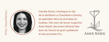 Charger l&#39;image dans la galerie, La roue des arômes du gin québécois

